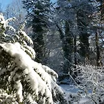 Am Rossplan Szálloda