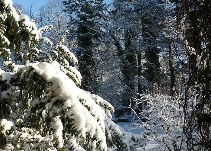 罗斯普兰酒店 酒店